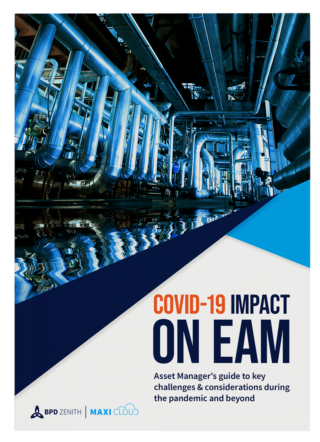 Covid-19 Impact on EAM
